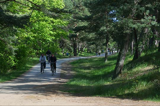 Rad fahren in Zinnowitz und auf der gesamten Insel Usedom